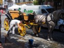 Washing the horsedrawn cart